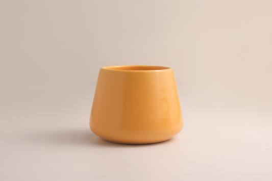 Mango - Ceramic Cup